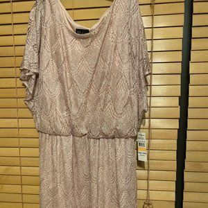 NWT Pink/Silver Formal Dress